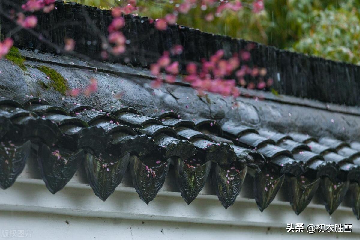 早春春雨古诗五首（霏霏春雨九重天，春雨如烟又若丝）