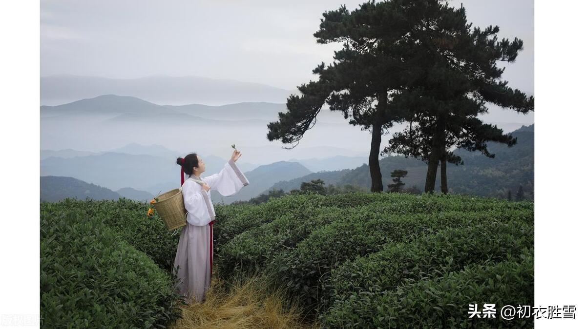 春风优美古诗五首（春风自年年，吹遍天涯绿）