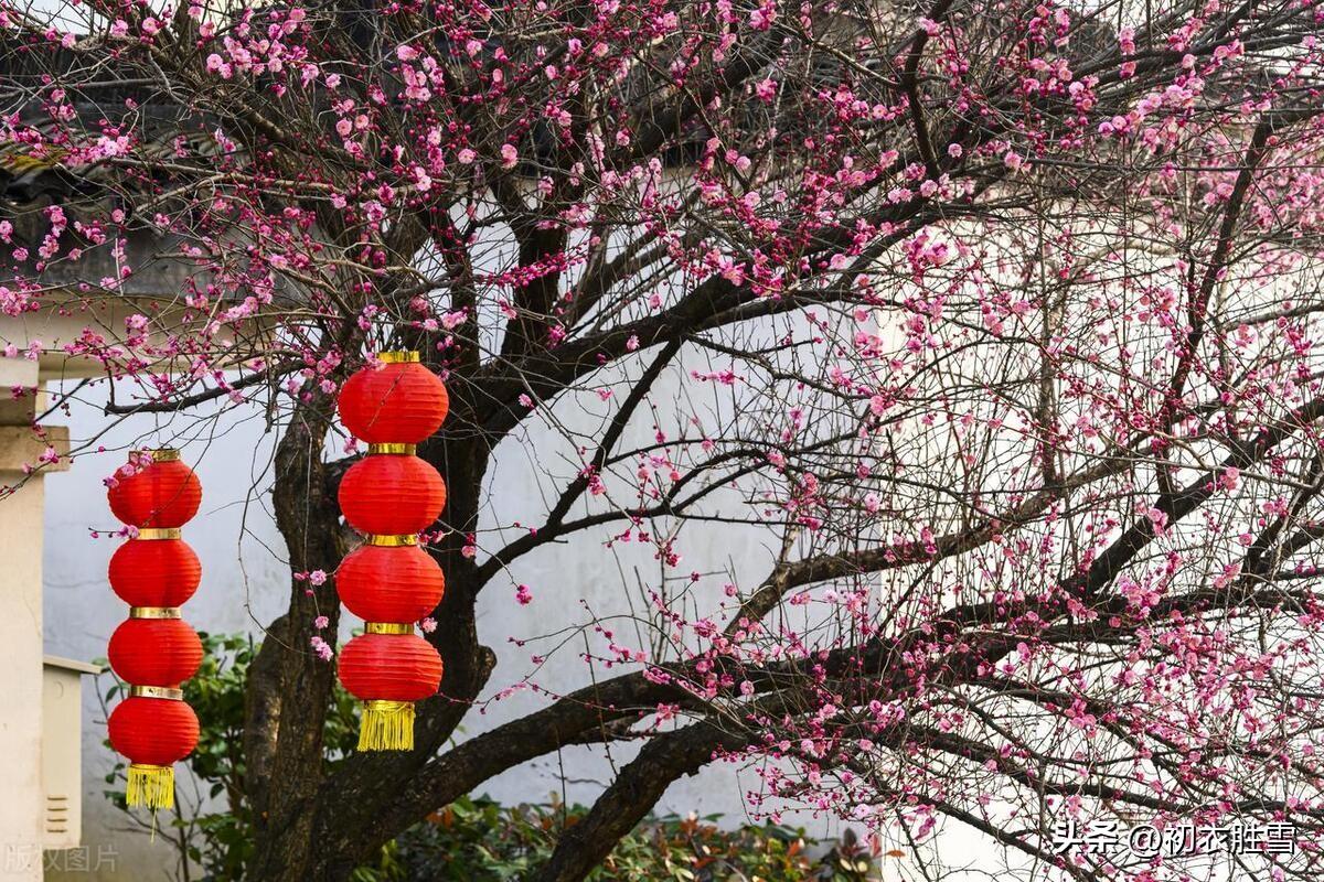 新春新年唯美诗词五首（人心新岁月，春意旧乾坤）