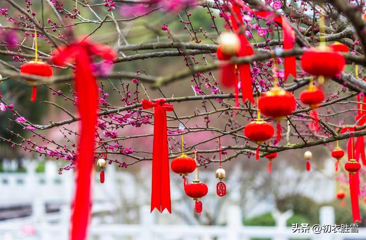 新春新年唯美诗词五首（人心新岁月，春意旧乾坤）