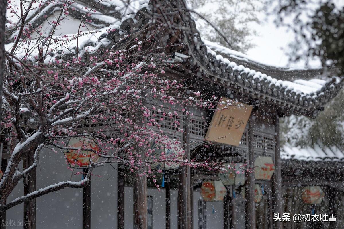 立春节气雪诗五首（腊雪连春雪，春寒甚腊寒）