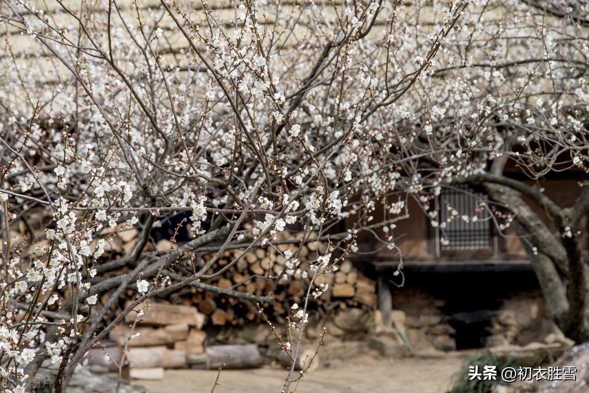 冬暮清景唯美古诗五首（冬暮景如屏，心中万虑宁）