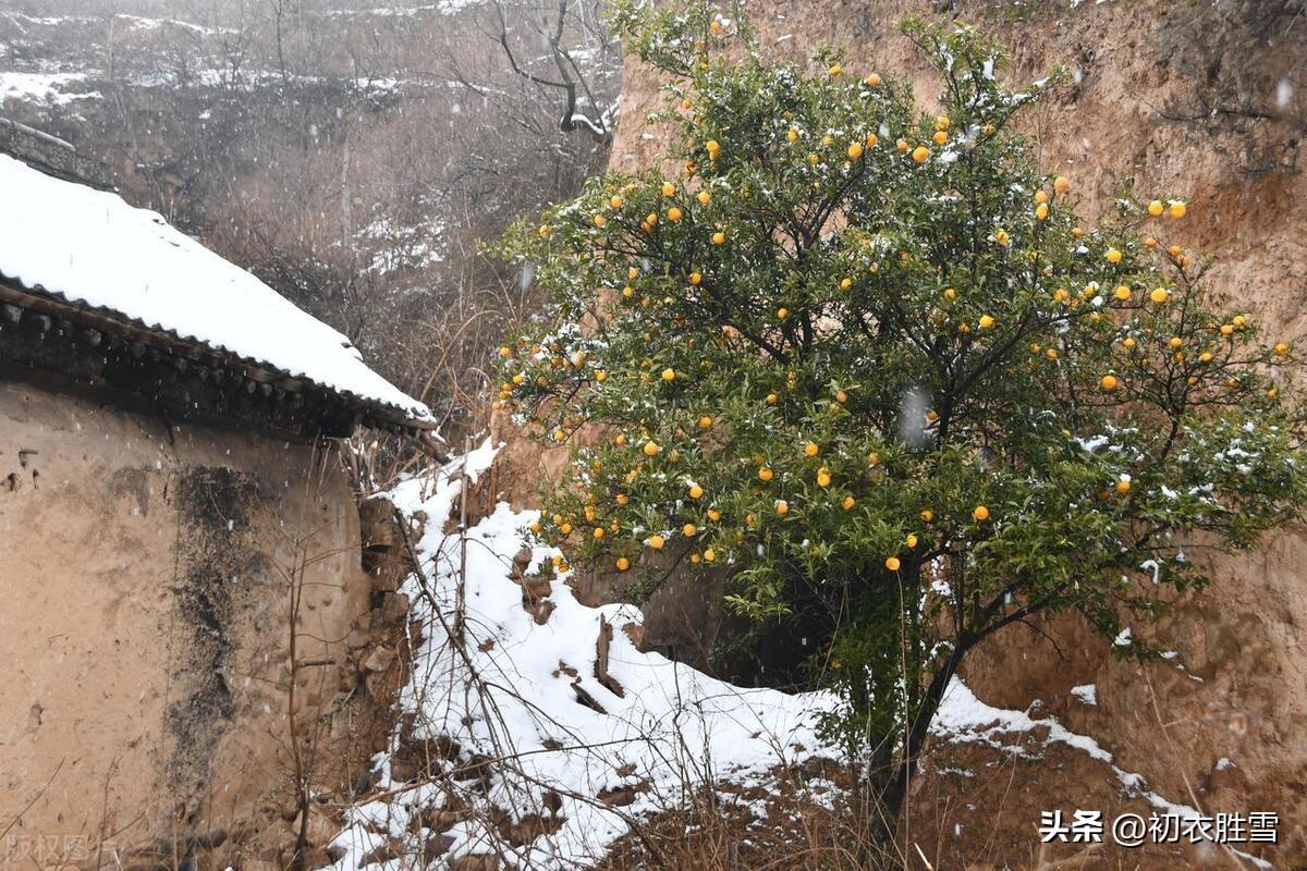 暮冬感怀诗词五首（风雪生寒夜，乡园来旧心）