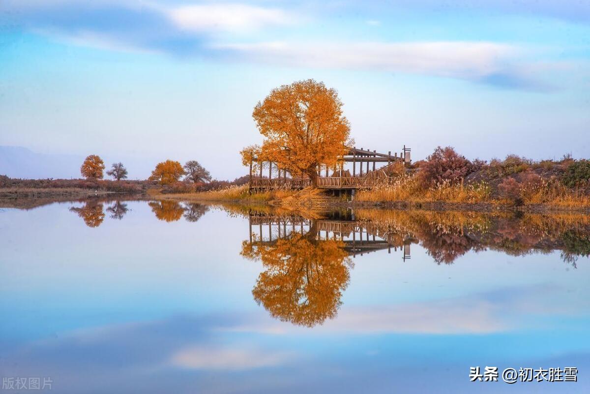 晚冬明丽优美古诗五首（冬晴爱日温，红叶自成村）