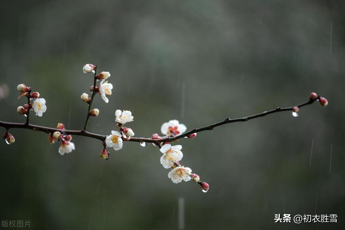 大寒古诗五首推荐（多谢萋萋草，穿冰已作丝）