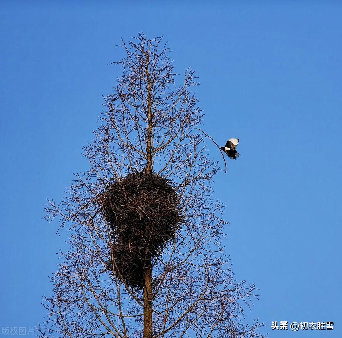 小寒节气古诗五首推荐（莫怪严凝切，春冬正月交）