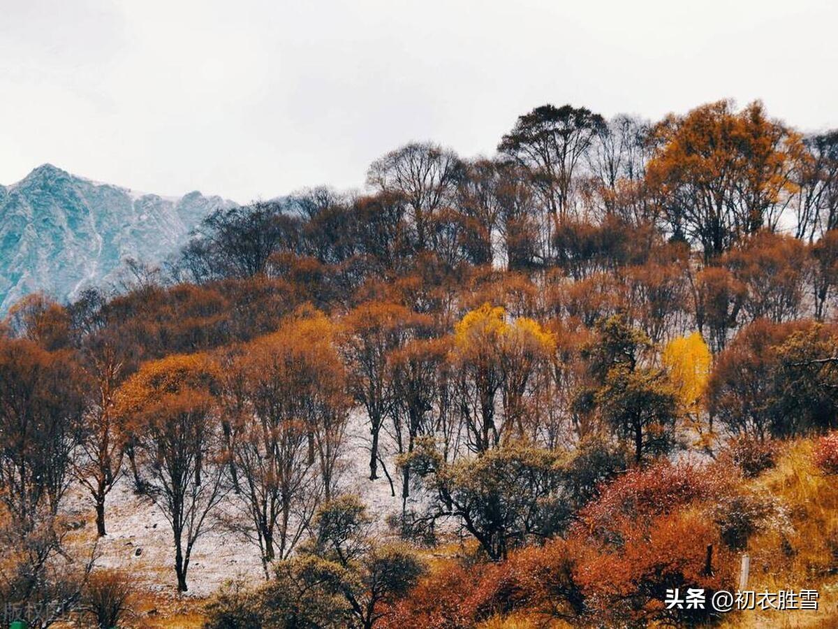 冬至清景绝句六首赏析（梅花枝上易，相对一笑新）