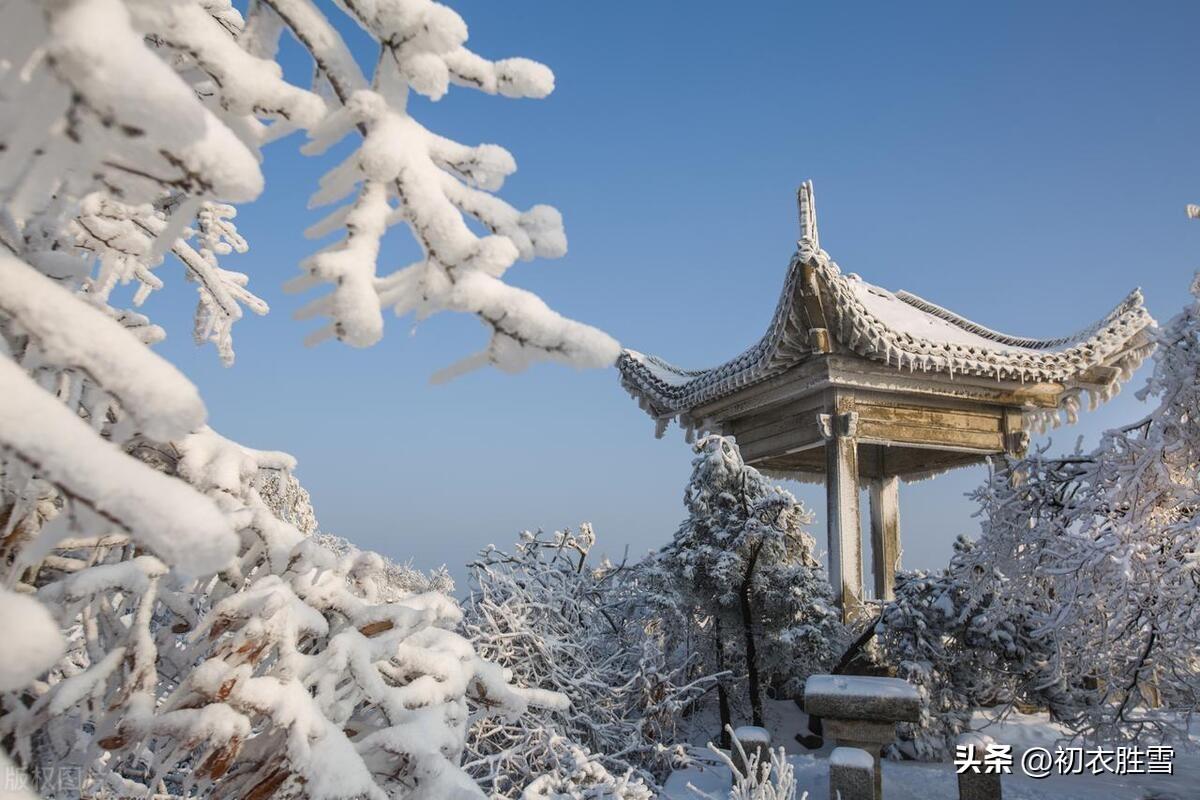 冬至清景绝句六首赏析（梅花枝上易，相对一笑新）