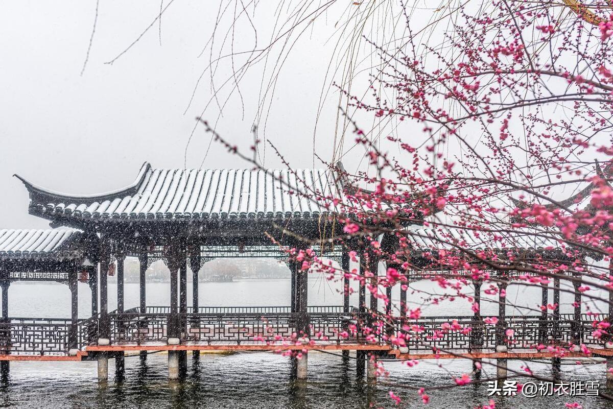 风雪寒梅五首古诗词（老梅虽冻自宜花，相宜尤是雪寒天）