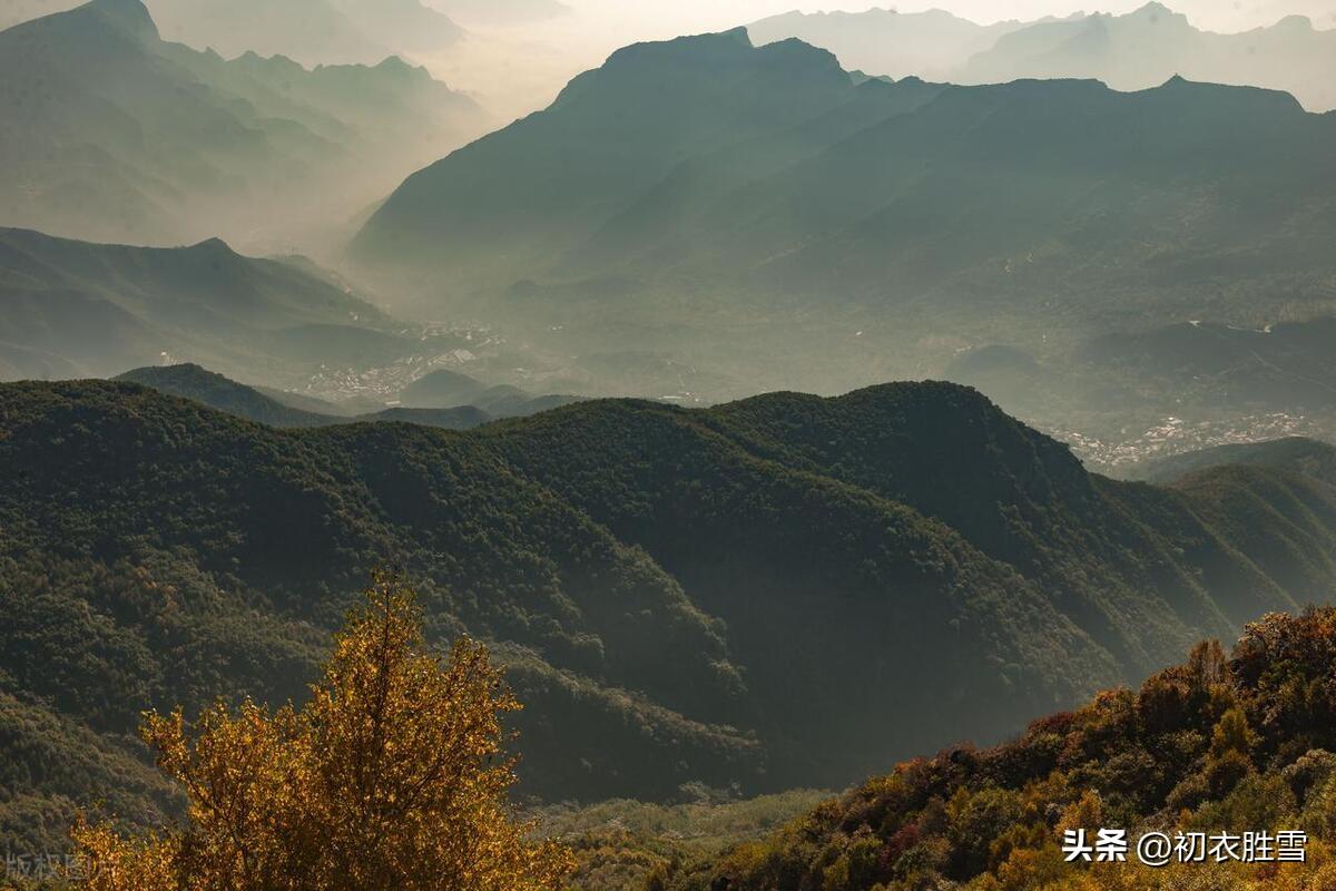 仲冬春意古诗五首（山中天气温如春，绝壁遥见梅花新）