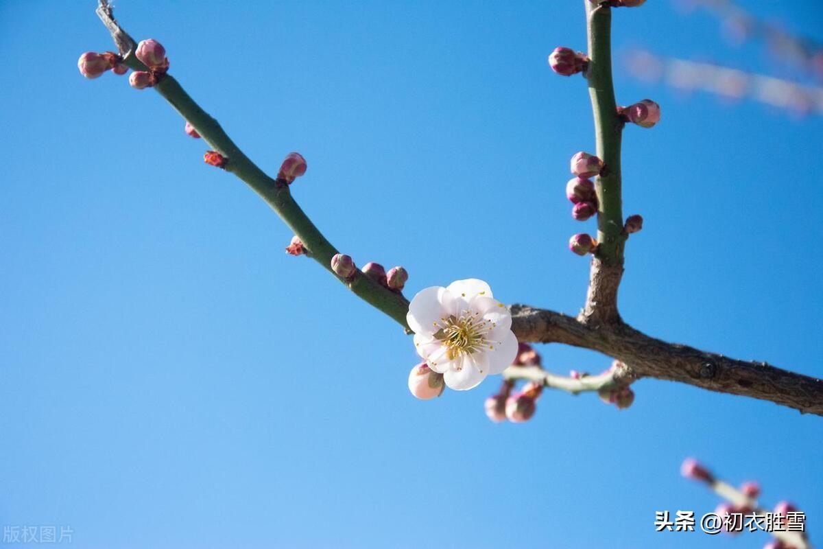 仲冬古诗六首赏析（门外谁知雪寸深，静中忽见古人心）