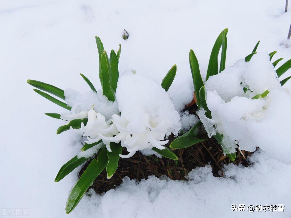 仲冬古诗六首赏析（门外谁知雪寸深，静中忽见古人心）