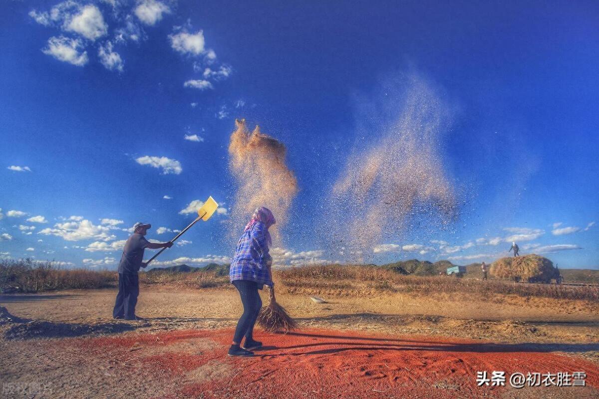 谈谈十月收获，和十月寒衣节（十月古诗五首赏析）