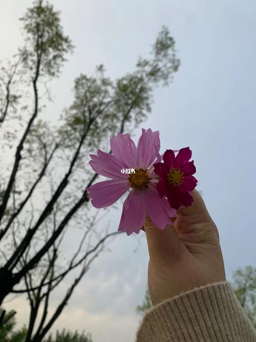 年后第一天上班怎么发朋友圈短句（新年的第一个工作日，让我们充满激情和干劲）