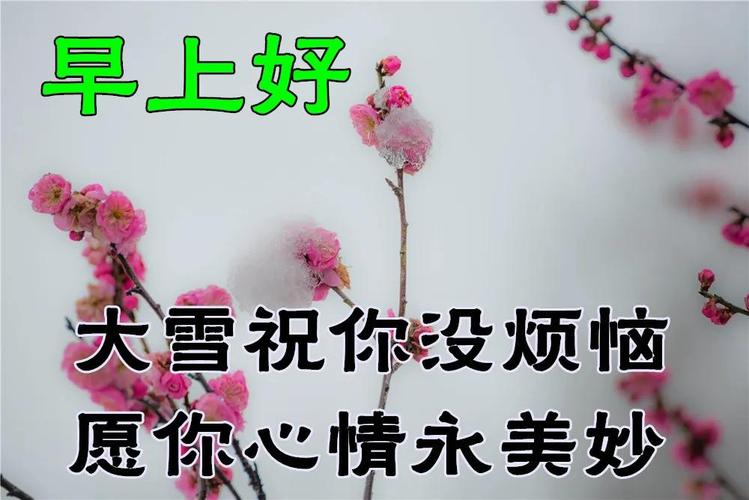 小雪节气暖心祝福语（小雪节气祝福问候语，温暖你我心扉）