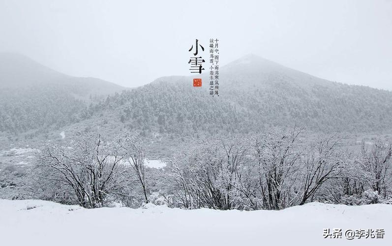 小雪节气暖心祝福语（小雪节气祝福问候语，温暖你我心扉）