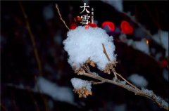 小雪节气暖心祝福语（小雪节气祝福问候语，温暖你我心扉）