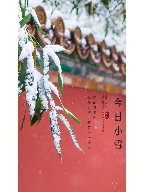 2020年小雪节气问候语早安（飘零雪花，唤醒心灵）