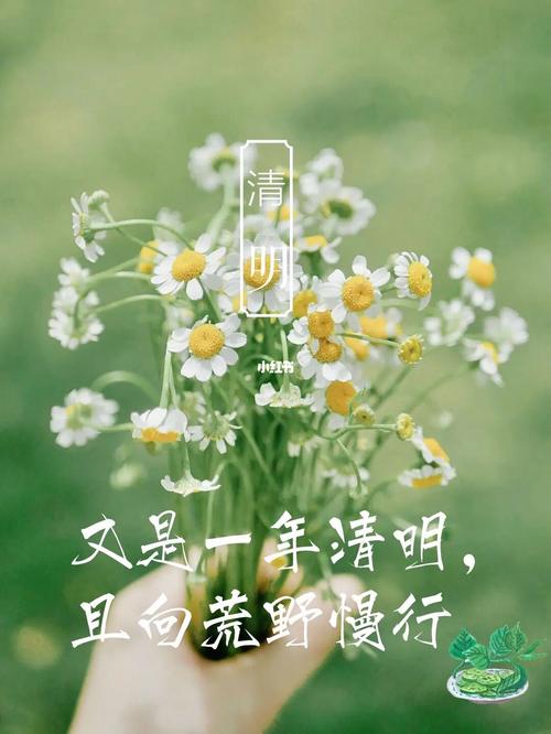 朋友圈最适合清明节写的句子（清明节，美好回忆）