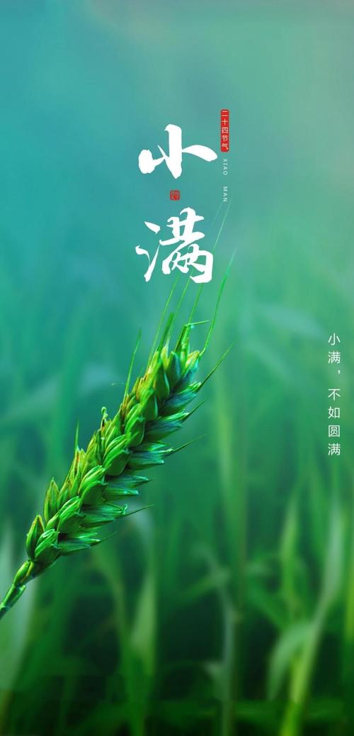 小满祝福语简短优美（2023小满时节微博热门赞美祝福寄语）