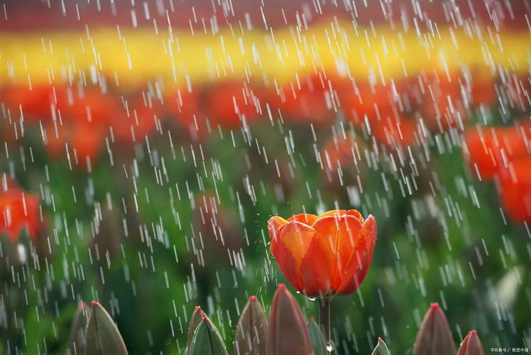 下雨天语录心情说说（2023雨季，心情如诗）