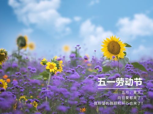 关于劳动节的朋友圈说说（五一劳动节，愿你拥有美好的生活）