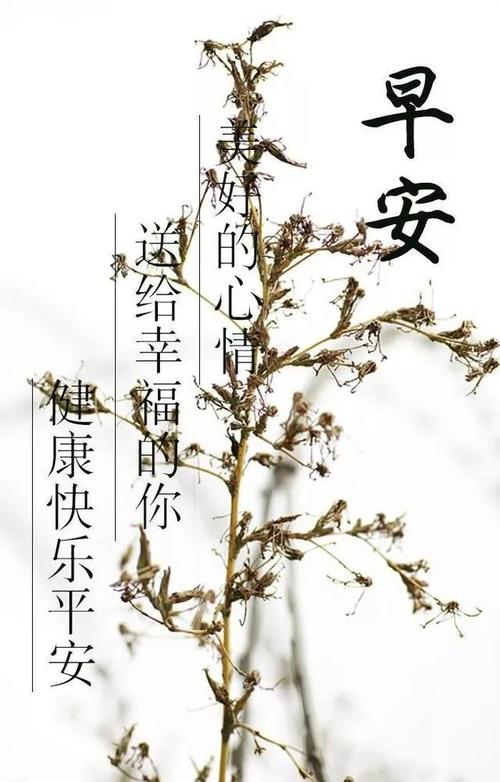 天气转凉问候语朋友圈（《秋日温馨问候》）