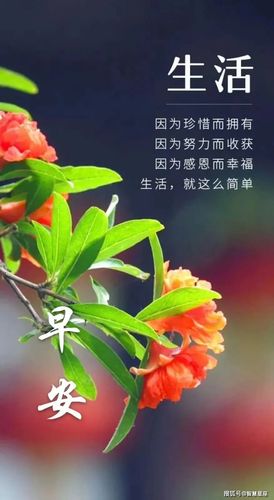 霜降节气说说朋友圈祝福问候（用唯美短句表达真诚祝福）