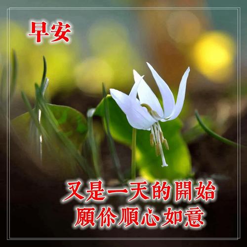 霜降节气说说朋友圈祝福问候（用唯美短句表达真诚祝福）