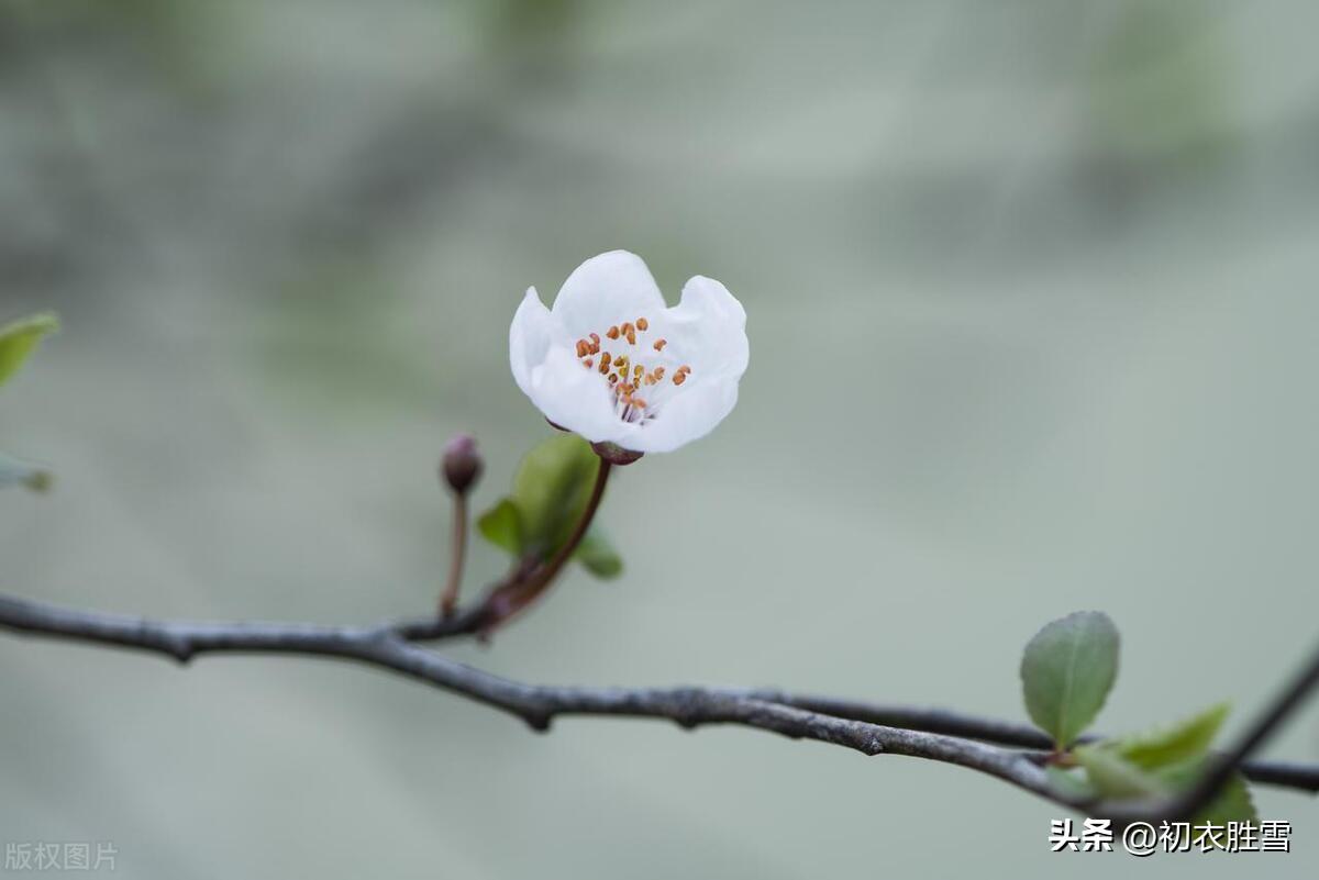 ​立冬古诗五首精选（小春此去无多日，何处梅花一绽香）