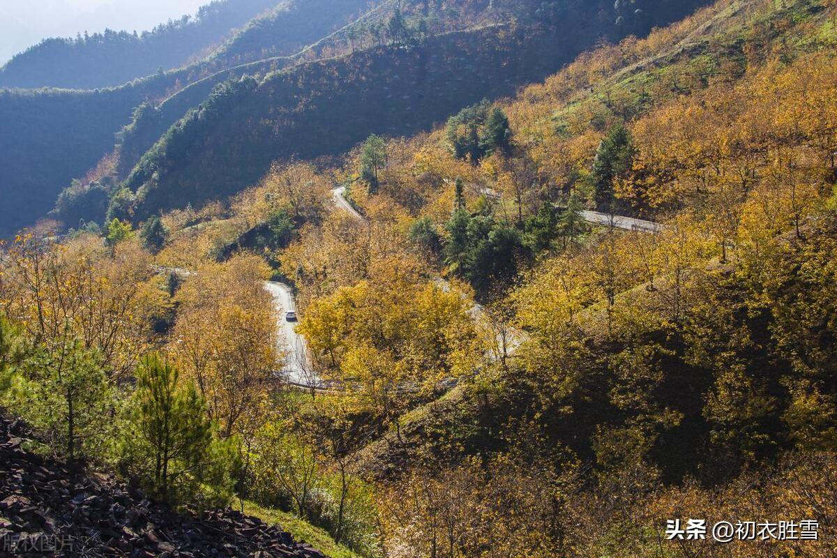 晚秋优美古诗五首（几重相别意，一首晚秋诗）