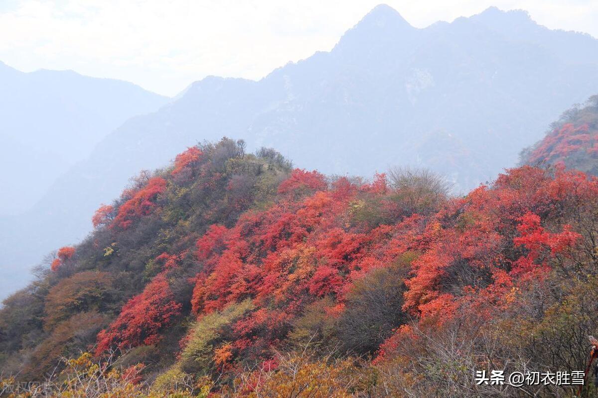 晚秋清美诗词六首（晚秋方是好风光，晚秋天气半春时）