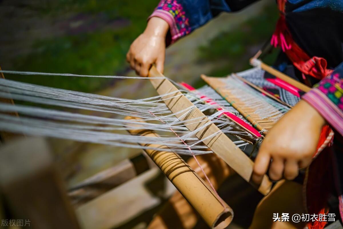 九月唯美诗词大全（节佳重九近，风急授衣初）