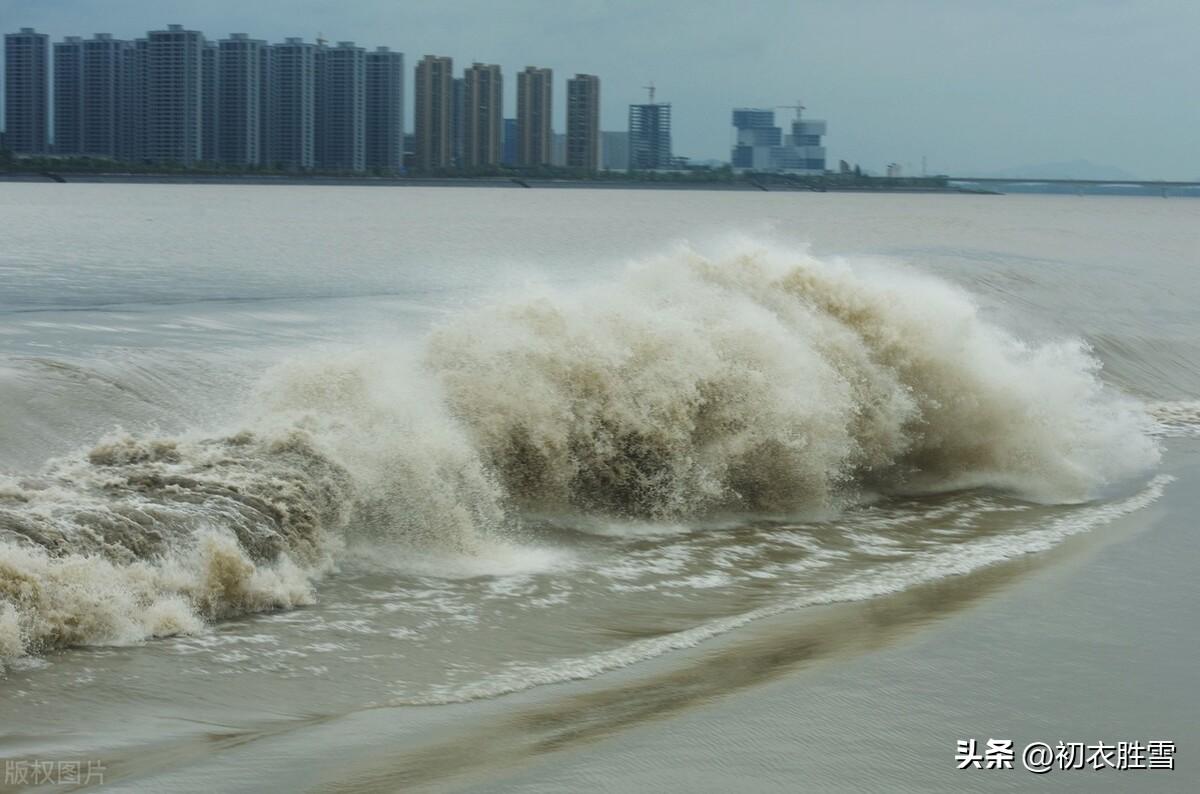 秋月唯美诗词大全（看潮待过中秋，八月十八潮头）