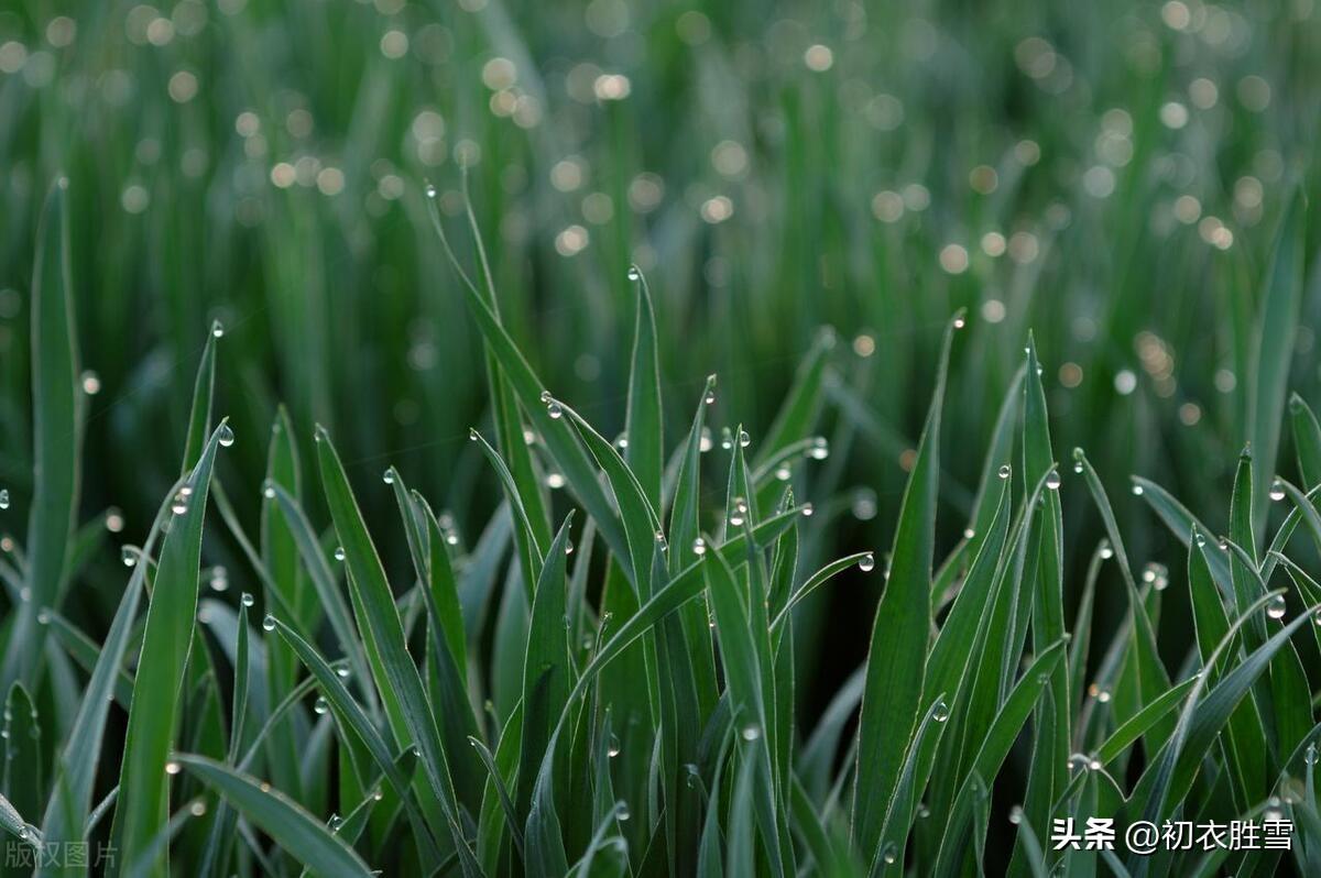 秋分节气五首诗词（欢喜入秋分，秋分夜倍凉）