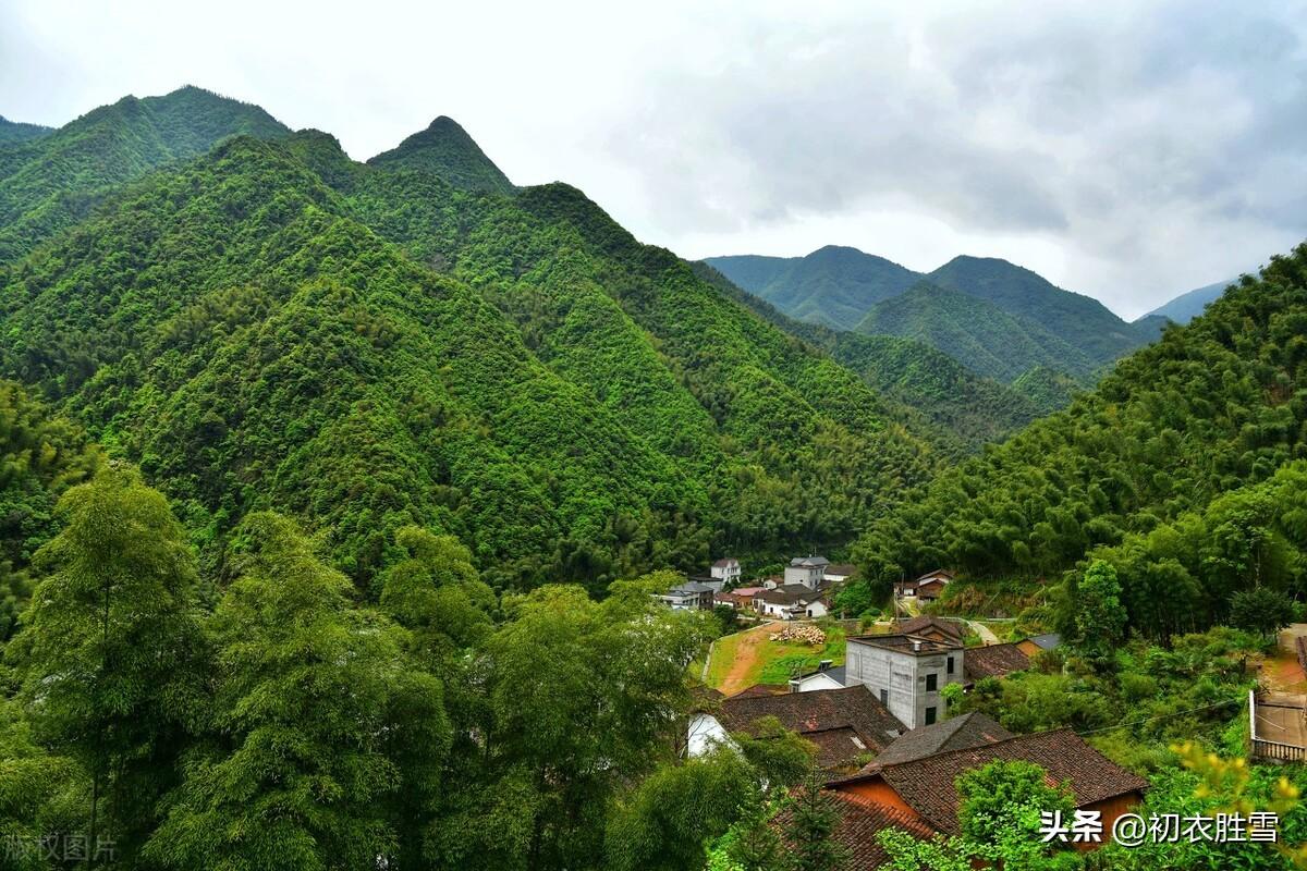 暮春踏青六首古诗词（青山青未了，绿水绿无穷）