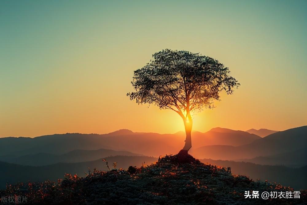 冬天红日诗词五首推荐（霜天红日三竿透，朝来红日为谁长）