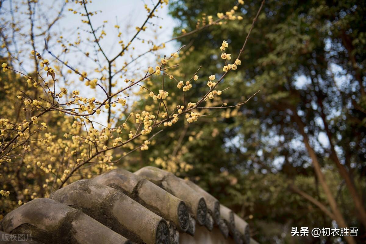 冬天红日诗词五首推荐（霜天红日三竿透，朝来红日为谁长）