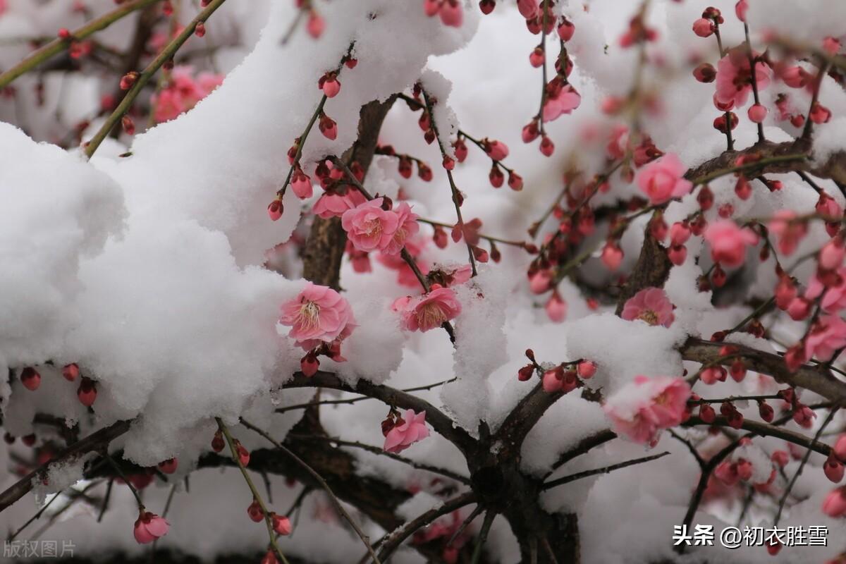 冬寒欲雪绝句六首诗词（江路清寒欲雪天，胸中浩浩正春生）