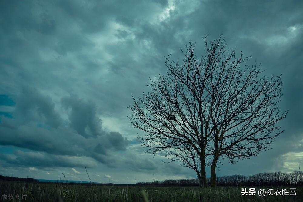 冬寒欲雪绝句六首诗词（江路清寒欲雪天，胸中浩浩正春生）