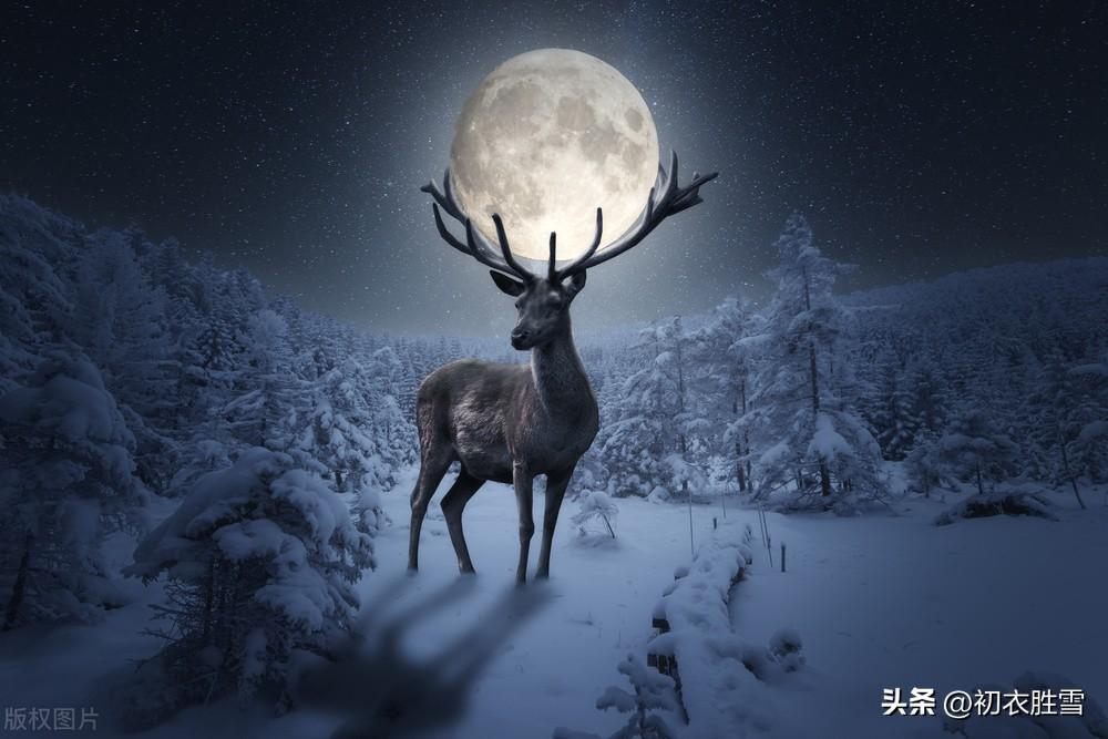 腊月十五明月六首古诗词（吹灯窗更明，月照一天雪）