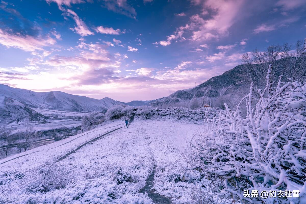 大雪节气诗词五首（腊前三白兆丰年，此话农家万古传）