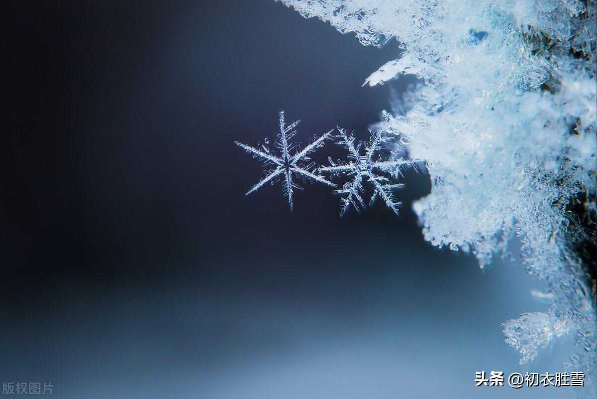 雪意古诗六首精选（同云千里结雪意，晚来雪意已填空）