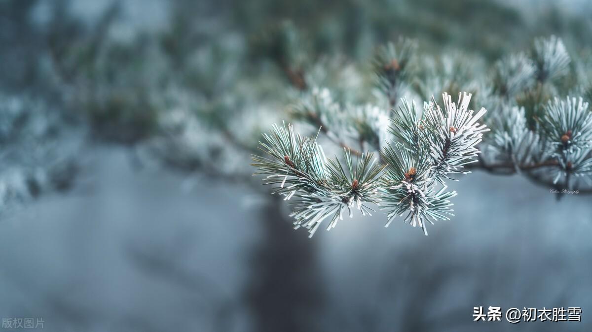 雪意古诗六首精选（同云千里结雪意，晚来雪意已填空）