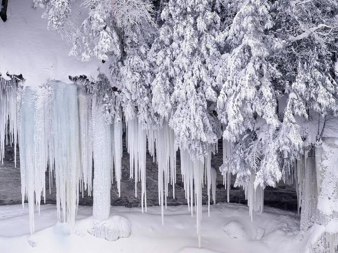 有关美丽的雪景的作文600字（《雪花飞舞》）