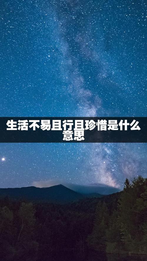 且行且珍惜的作文800（《把握当下，不要让生命有所遗憾》）