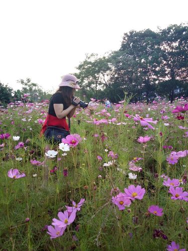 以友谊为话题的美文600（《友谊如花绽放》）