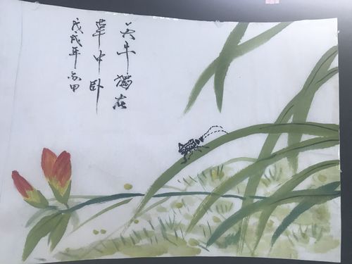 在阳光下成长作文素材（《阳光下的成长》）