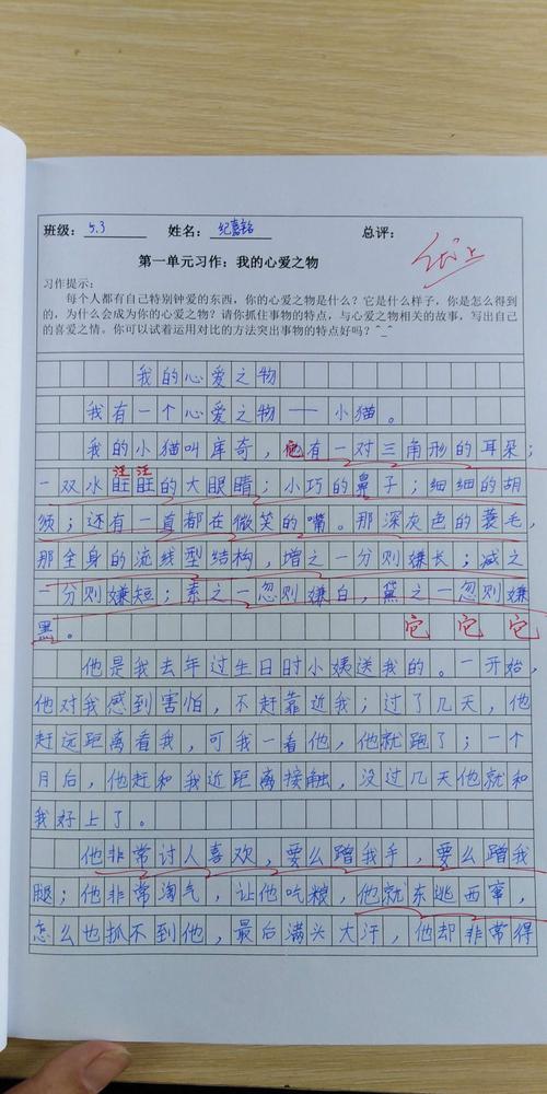 以我的心爱之物为话题的作文500字（《我的心爱之物》）