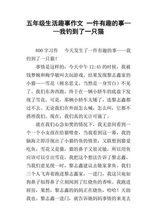 以有趣为话题的作文800字（《一只小狗的智商让我惊叹》）